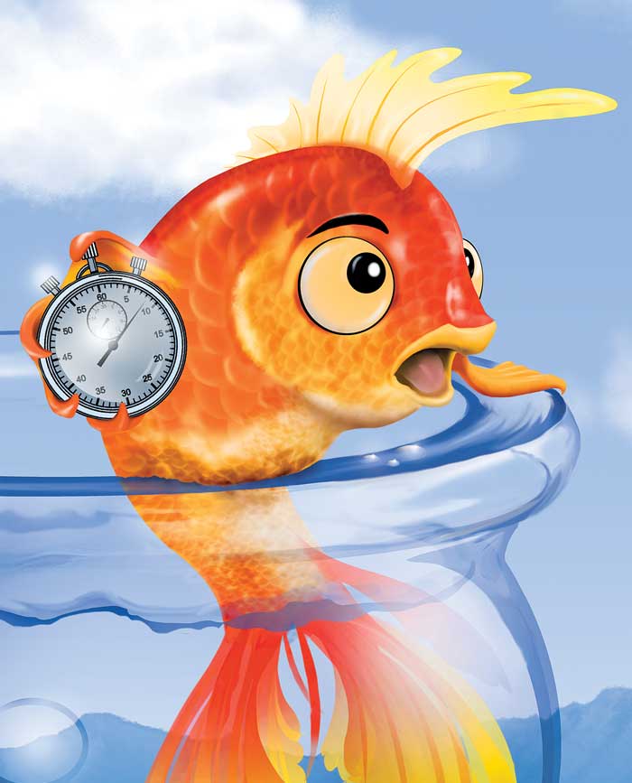 Goldfish