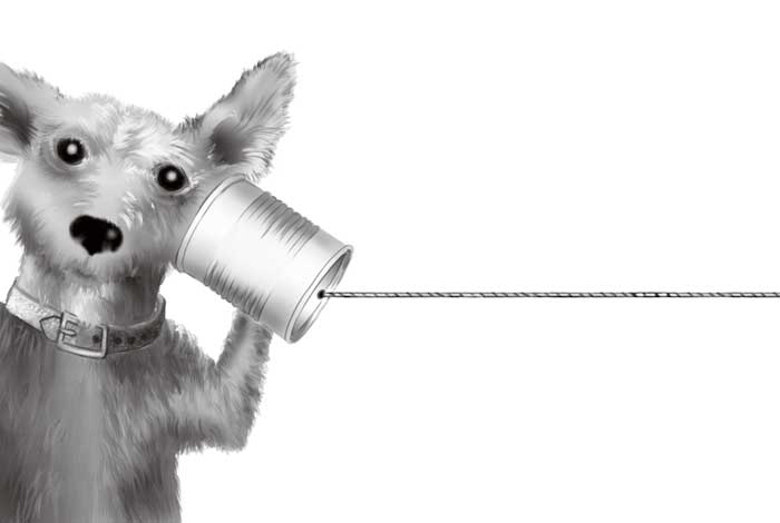talk2dog_REV
